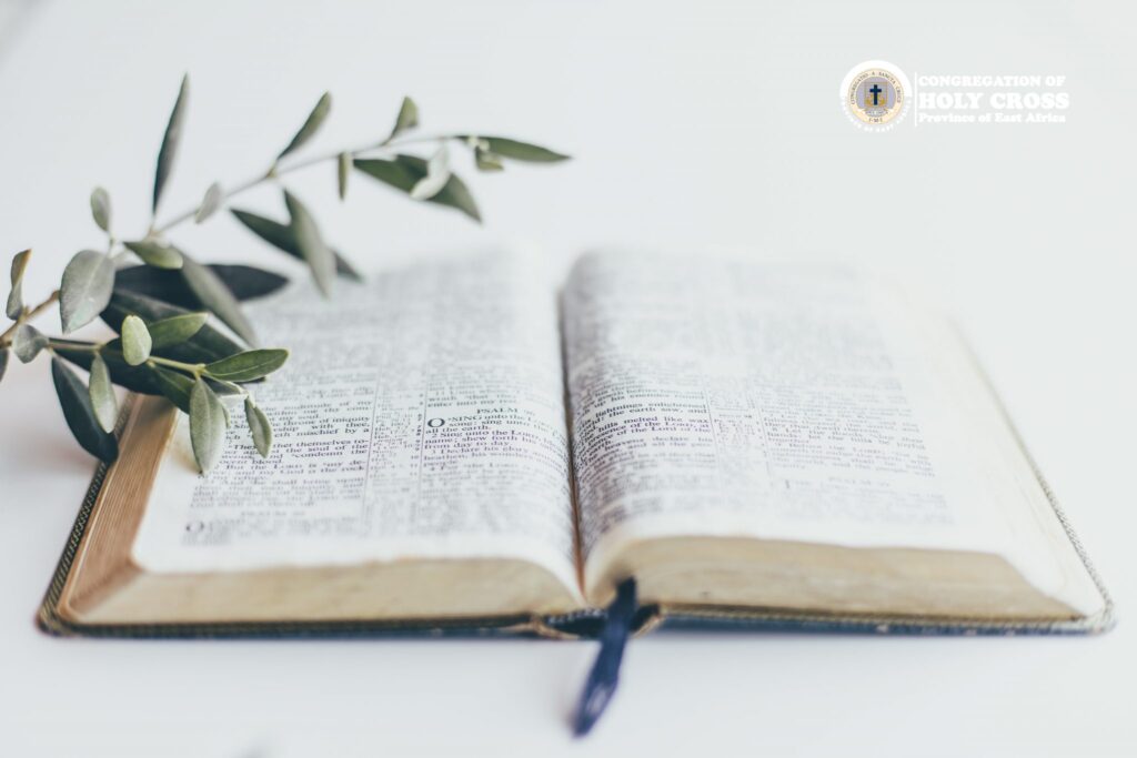 Four Attitudes for a Pastoral Agent During the Year of Mission in the Congregation of Holy Cross